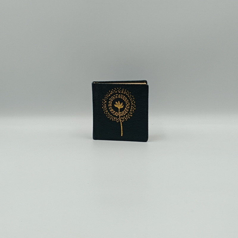 Stužková slávnosť