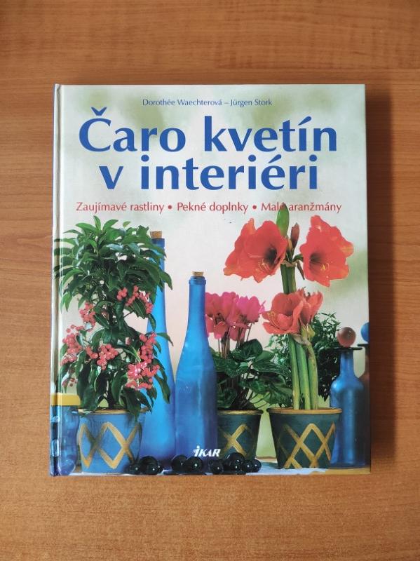 Čaro kvetín v interiéri