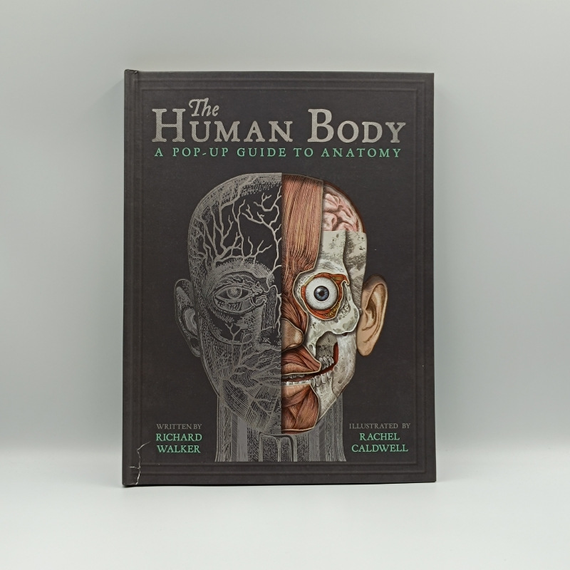 The Human Body / A Pop-Up Guide to Anatomy