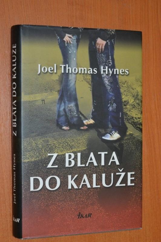 Z blata do kaluže