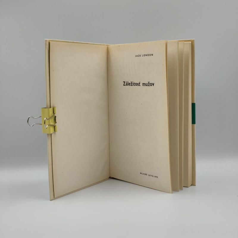 Záležitosť mužov 2