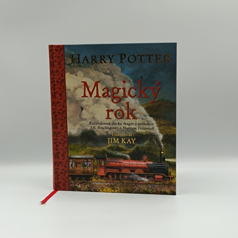 Harry Potter: Magický rok