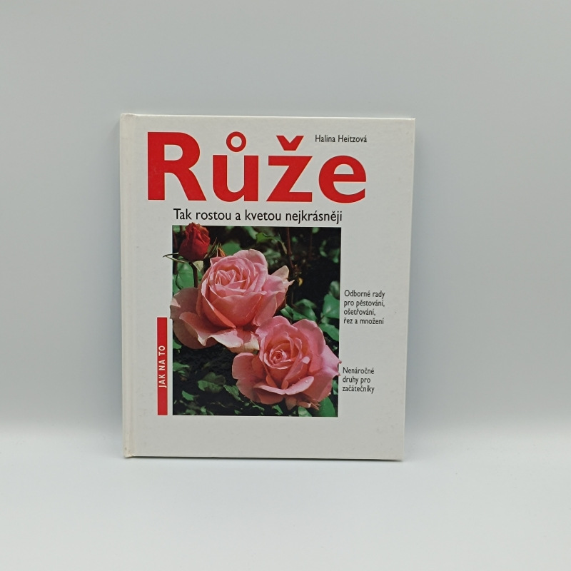 Růže na zahrady, balkóny a terasy