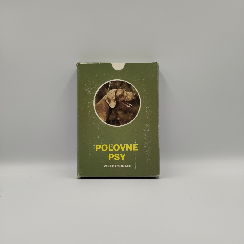 Poľovné psy vo fotografii