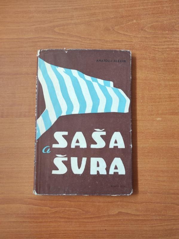 Saša a Šura