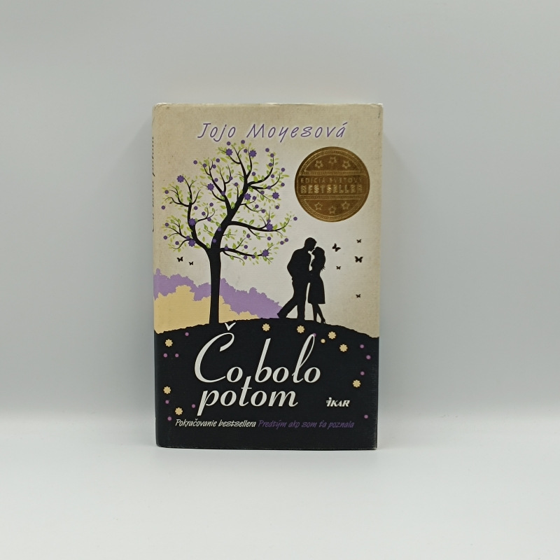 Čo bolo potom / pokračovanie bestselleru Predtým ako som ťa poznala