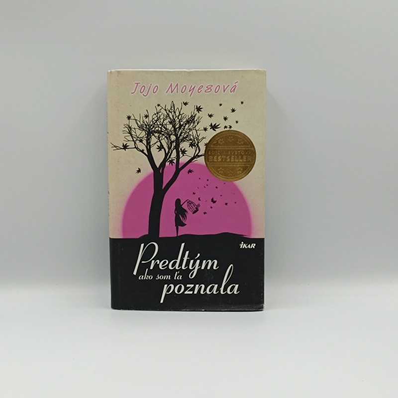 Predtým ako som ťa poznala