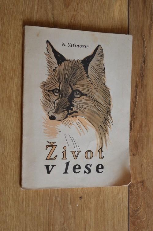 Život v lese