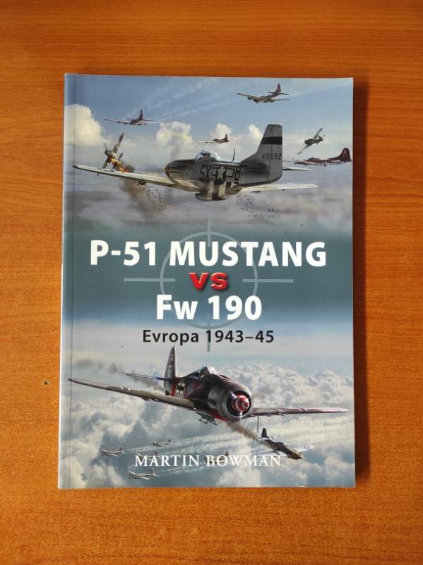 P-51 Mustang vs Fw 190