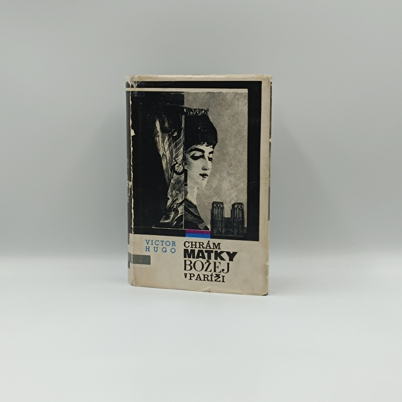 Chrám Matky Božej v Paríži