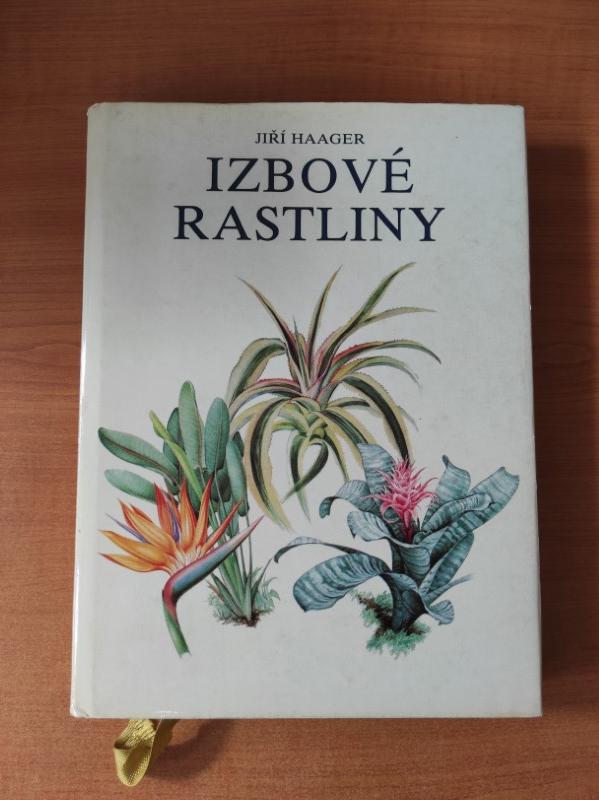 Izbové rastliny