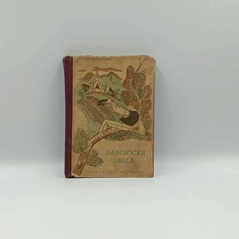 Dedinôčka milá... : Denníček chlapca