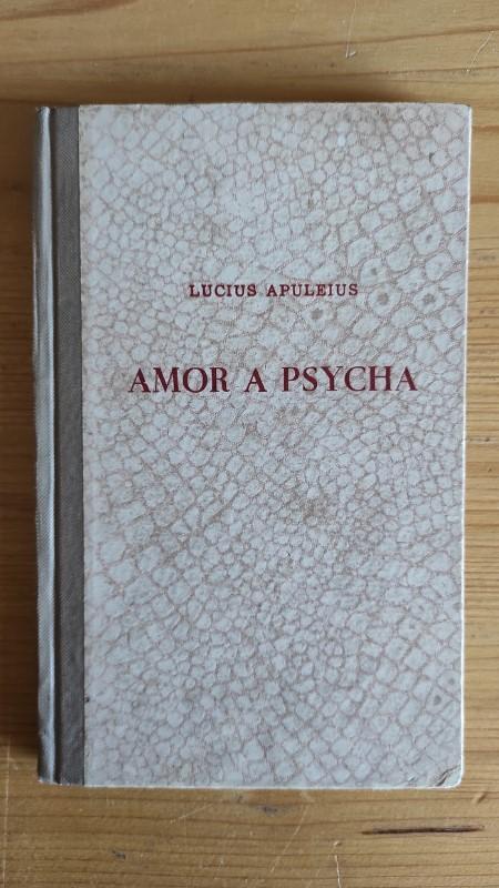 Amor a psycha