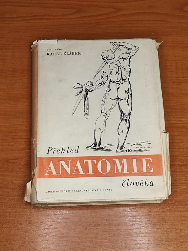 Přehled anatomie člověka