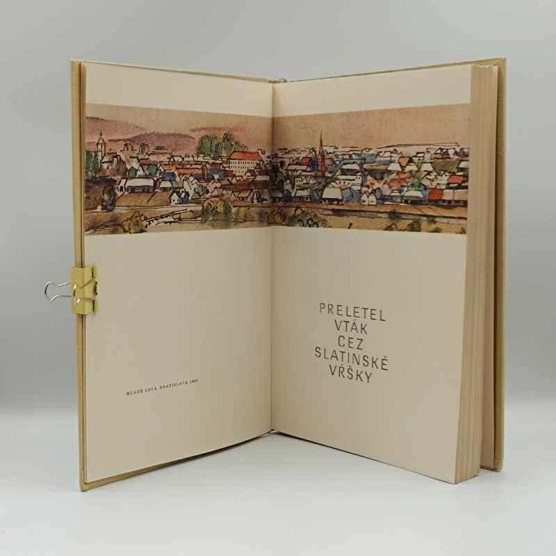 Preletel vták cez slatinské vŕšky 1